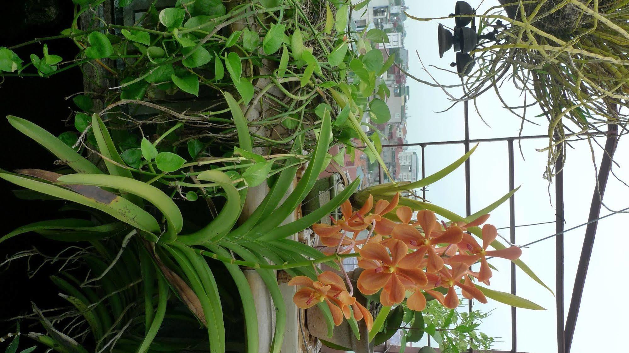 האנוי Hotel Garden Queen מראה חיצוני תמונה